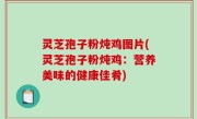 灵芝孢子粉炖鸡图片(灵芝孢子粉炖鸡：营养美味的健康佳肴)