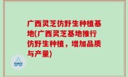 广西灵芝仿野生种植基地(广西灵芝基地推行仿野生种植，增加品质与产量)