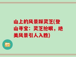山上的风景踩灵芝(登山寻宝：灵芝抢眼，绝美风景引人入胜)