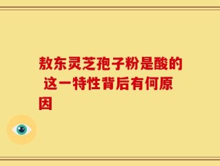 敖东灵芝孢子粉是酸的 这一特性背后有何原因