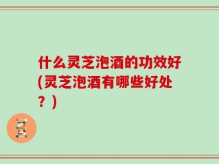 什么灵芝泡酒的功效好(灵芝泡酒有哪些好处？)
