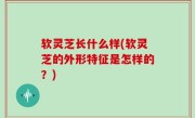 软灵芝长什么样(软灵芝的外形特征是怎样的？)