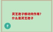 灵芝孢子根功效作用？什么是灵芝孢子