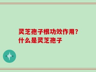 灵芝孢子根功效作用？什么是灵芝孢子
