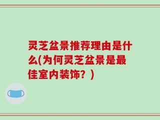 灵芝盆景推荐理由是什么(为何灵芝盆景是最佳室内装饰？)