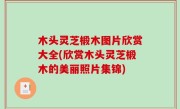 木头灵芝椴木图片欣赏大全(欣赏木头灵芝椴木的美丽照片集锦)