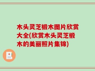 木头灵芝椴木图片欣赏大全(欣赏木头灵芝椴木的美丽照片集锦)