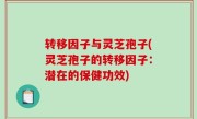 转移因子与灵芝孢子(灵芝孢子的转移因子：潜在的保健功效)