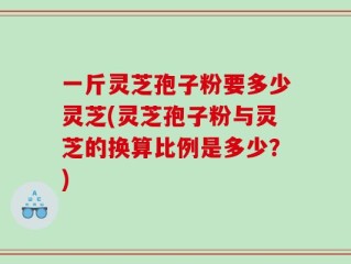 一斤灵芝孢子粉要多少灵芝(灵芝孢子粉与灵芝的换算比例是多少？)