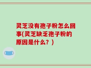 灵芝没有孢子粉怎么回事(灵芝缺乏孢子粉的原因是什么？)