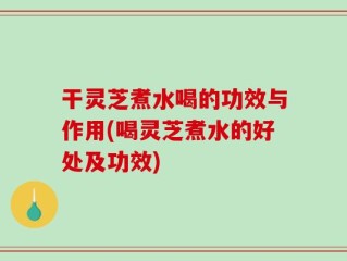 干灵芝煮水喝的功效与作用(喝灵芝煮水的好处及功效)