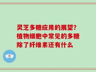 灵芝多糖应用的展望？植物细胞中常见的多糖除了纤维素还有什么