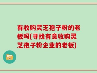 有收购灵芝孢子粉的老板吗(寻找有意收购灵芝孢子粉企业的老板)