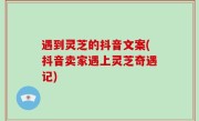 遇到灵芝的抖音文案(抖音卖家遇上灵芝奇遇记)