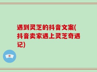 遇到灵芝的抖音文案(抖音卖家遇上灵芝奇遇记)