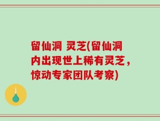 留仙洞 灵芝(留仙洞内出现世上稀有灵芝，惊动专家团队考察)