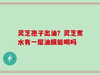 灵芝孢子出油？灵芝煮水有一层油膜能喝吗