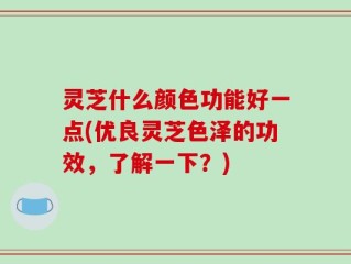 灵芝什么颜色功能好一点(优良灵芝色泽的功效，了解一下？)