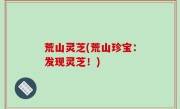 荒山灵芝(荒山珍宝：发现灵芝！)