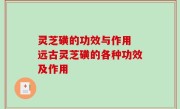 灵芝磺的功效与作用 远古灵芝磺的各种功效及作用