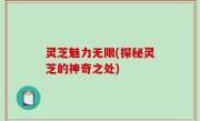 灵芝魅力无限(探秘灵芝的神奇之处)