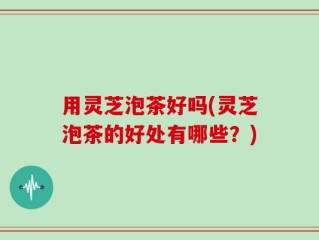 用灵芝泡茶好吗(灵芝泡茶的好处有哪些？)