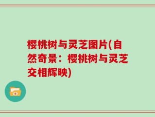 樱桃树与灵芝图片(自然奇景：樱桃树与灵芝交相辉映)