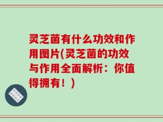 灵芝菌有什么功效和作用图片(灵芝菌的功效与作用全面解析：你值得拥有！)