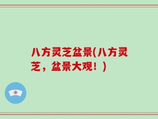 八方灵芝盆景(八方灵芝，盆景大观！)