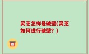 灵芝怎样是破壁(灵芝如何进行破壁？)