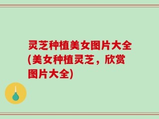 灵芝种植美女图片大全(美女种植灵芝，欣赏图片大全)