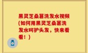 黑灵芝桑葚洗发水视频(如何用黑灵芝桑葚洗发水呵护头发，快来看看！)