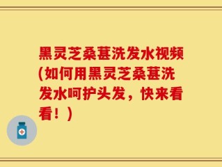 黑灵芝桑葚洗发水视频(如何用黑灵芝桑葚洗发水呵护头发，快来看看！)