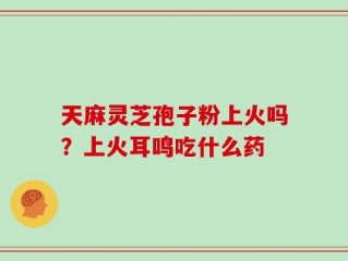 天麻灵芝孢子粉上火吗？上火耳鸣吃什么药