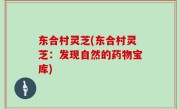 东合村灵芝(东合村灵芝：发现自然的药物宝库)