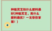 种植灵芝放什么肥料最好(种植灵芝，用什么肥料最优？一文带你掌握！)