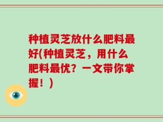 种植灵芝放什么肥料最好(种植灵芝，用什么肥料最优？一文带你掌握！)