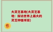 大灵芝基地(大灵芝基地：探访世界上最大的灵芝种植项目)