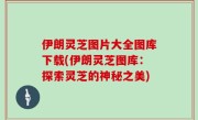 伊朗灵芝图片大全图库下载(伊朗灵芝图库：探索灵芝的神秘之美)