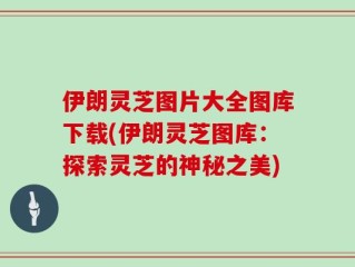 伊朗灵芝图片大全图库下载(伊朗灵芝图库：探索灵芝的神秘之美)