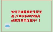 如何正确养殖野生灵芝孢子(如何科学养殖高品质野生灵芝孢子？)