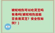 被蛇咬伤可以吃灵芝吗有毒吗(被蛇咬伤后能否食用灵芝？安全性如何？)
