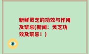 新鲜灵芝的功效与作用及禁忌(新闻：灵芝功效及禁忌！)