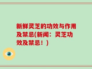 新鲜灵芝的功效与作用及禁忌(新闻：灵芝功效及禁忌！)