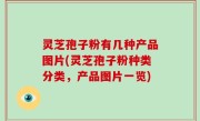 灵芝孢子粉有几种产品图片(灵芝孢子粉种类分类，产品图片一览)