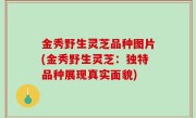 金秀野生灵芝品种图片(金秀野生灵芝：独特品种展现真实面貌)