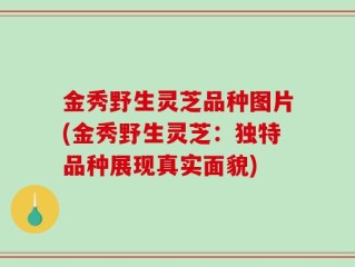 金秀野生灵芝品种图片(金秀野生灵芝：独特品种展现真实面貌)