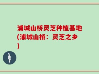 浦城山桥灵芝种植基地(浦城山桥：灵芝之乡)