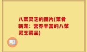 八菜灵芝的图片(菜肴新宠：营养丰富的八菜灵芝菜品)