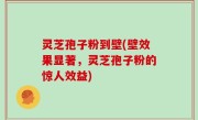 灵芝孢子粉到壁(壁效果显著，灵芝孢子粉的惊人效益)